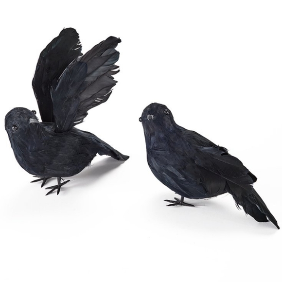 Other - 2 halloween crows